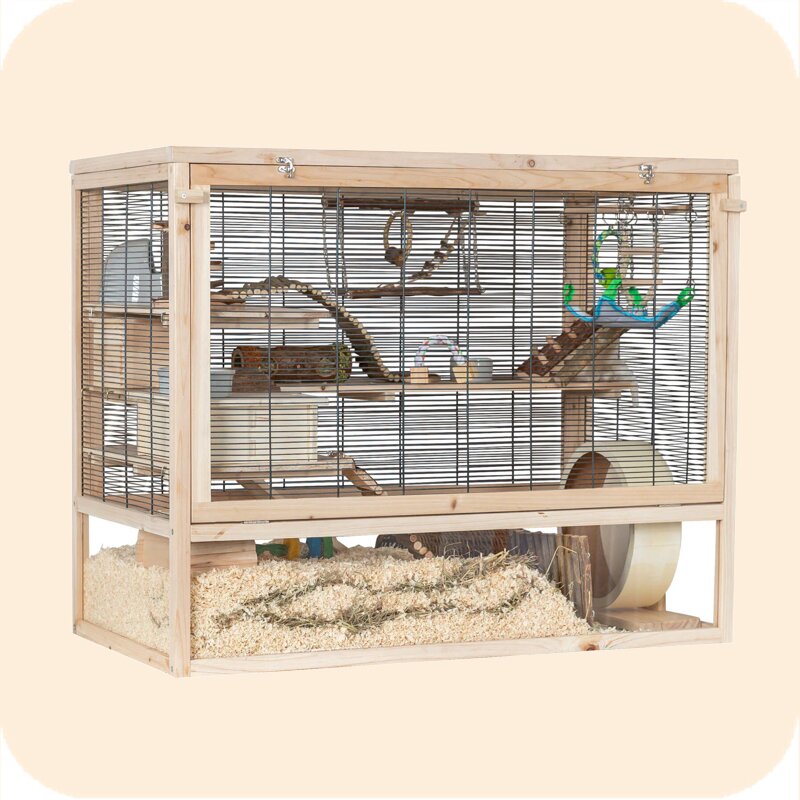 Indoor