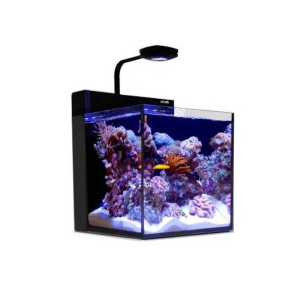 Meerwasser Nano-Aquarium – Perfekt wie ein Großes