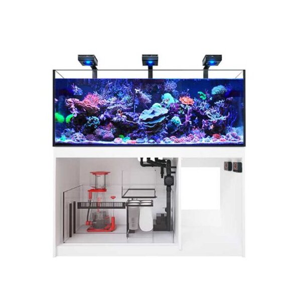 Plug &amp; Play Aquarien – Alles komplett bis zur Deluxe-Variante