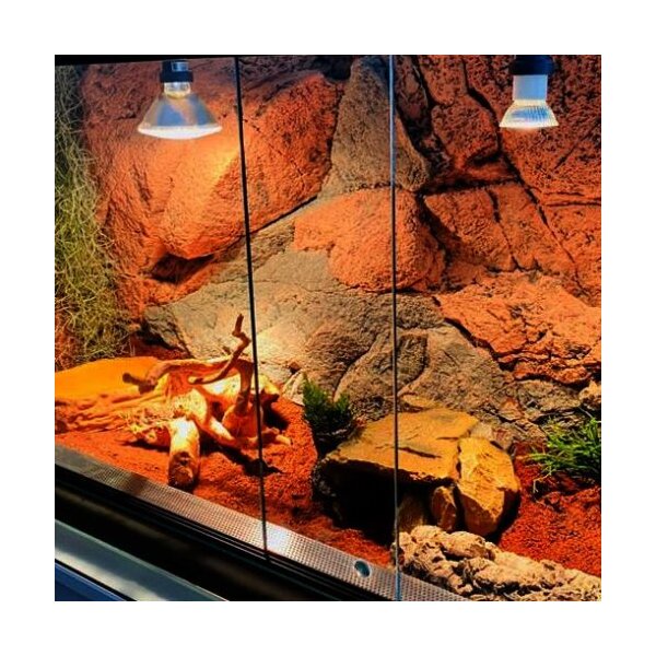 Temperatur und Licht im Terrarium - 