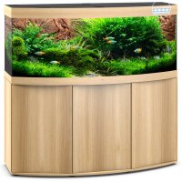 VISION 450 LED helles Holz Kombination