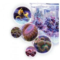 Armatus XS  (Systemvolumen ca. 8 Liter)