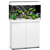 Rio 125 LED weiß Kombination