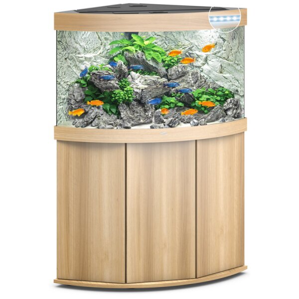 Trigon 190 LED helles Holz Kombination