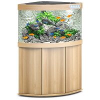 Trigon 190 LED helles Holz Kombination