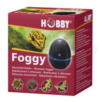 HOBBY Foggy