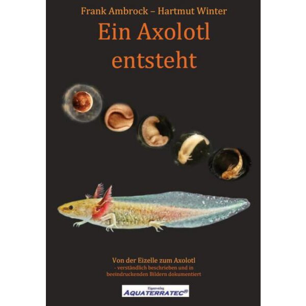 Aquaterratec Ein Axolotl entsteht (Taschenbuch 2019)