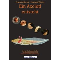 Aquaterratec Ein Axolotl entsteht (Taschenbuch 2019)