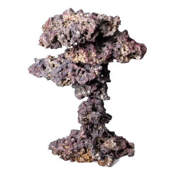 LifeRock Coral Tree