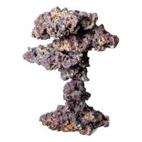 LifeRock Coral Tree