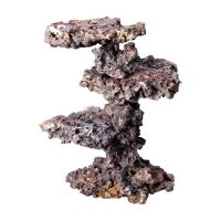 LifeRock Coral Tree