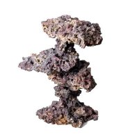 LifeRock Coral Tree