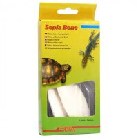 Sepia Bone