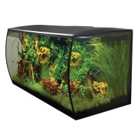 Fluval Flex 123 Liter schwarz