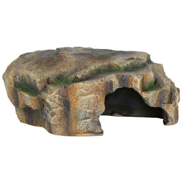Reptilienhöhle Regenwald S
