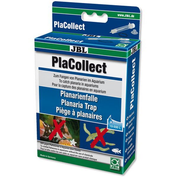 PlaCollect - Planarienfalle