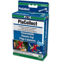 PlaCollect - Planarienfalle