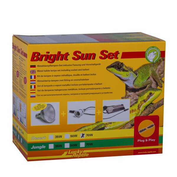 Bright Sun Set Desert 70 W