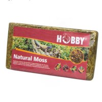 HOBBY Natural Moss 100g