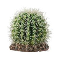 HOBBY Kaktus Sonora M