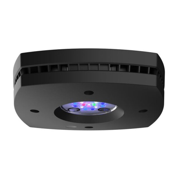 Prime 16HD LED Reef, schwarz