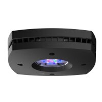 Prime 16HD LED Reef, schwarz