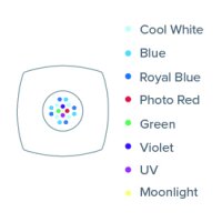 Prime 16HD LED Reef, schwarz