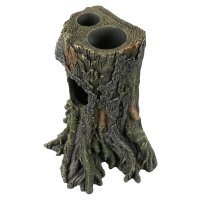 Gecko Tree