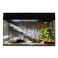 Lucky Reptile Starter Kit 80 cm &quot;Schlange&quot; schwarz