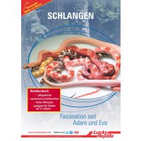 Lucky Reptile Starter Kit 80 cm &quot;Schlange&quot; schwarz