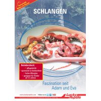 Starter Kit 80 cm "Schlange" schwarz