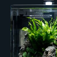 Nano Eckfilter (Aquarium bis 40l)