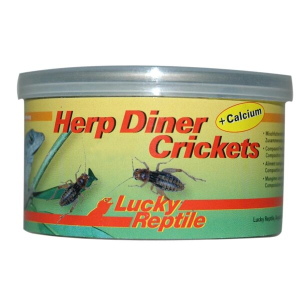 Lucky Reptile Herp Diner Crickets groß 35g
