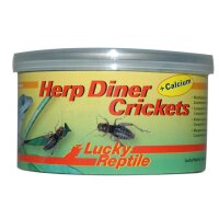 Lucky Reptile Herp Diner Crickets gro&szlig; 35g