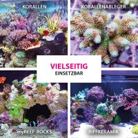 Arka Coralscaper Sekundenkleber, 50g