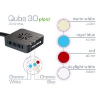 Aqua Medic Qube 30 LED plant