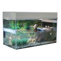 Starter Kit 80 cm "Wasserschildkr&ouml;te" wei&szlig;