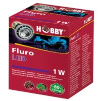 HOBBY Fluro LED, 1 W