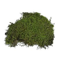 Vivarium Moos 150 g
