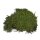 Vivarium Moos 150 g