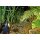 LunAqua Power LED Set 1