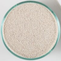 CaribSea Ocean Direct Oolite Livesand 9,07 Kg