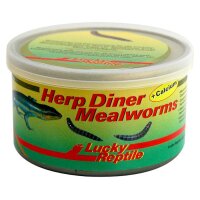 Herp Diner Mealworms 35g
