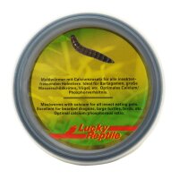 Herp Diner Mealworms 35g