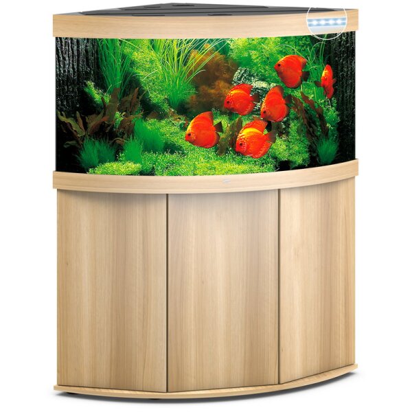 JUWEL Trigon 350 LED helles Holz Kombination