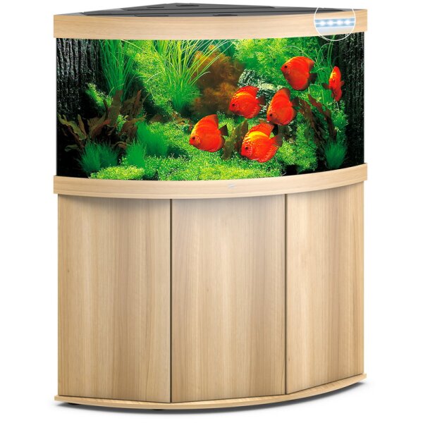 Trigon 350 LED helles Holz Kombination