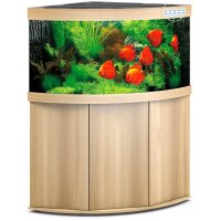 Trigon 350 LED helles Holz Kombination