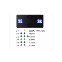 TMC Reef Pulsar LPS-6 EU (F&uuml;r LPS-Korallen)