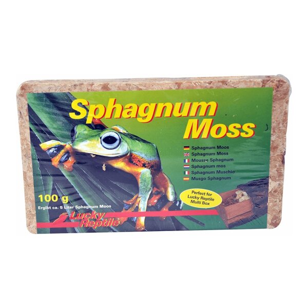 Sphagnum Moss Ziegel 100 g