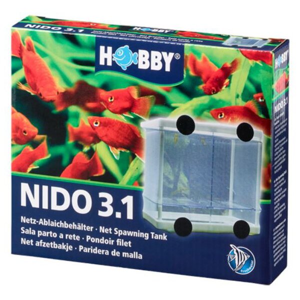 HOBBY Nido 3.1